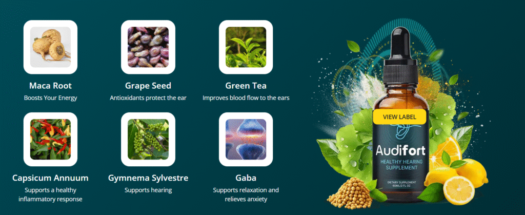 Audifort Exciting Review: 2025